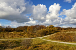 Twee wandelpaden komen samen in een duinlandschap met herfstkleuren in de Pettemerduinen bij Petten.