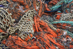 Aangespoeld visnet met zeesterren langs de vloedlijn op het strand van Wijk aan Zee na een winterstorm op de Noordzee;