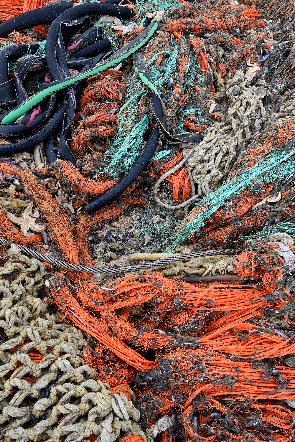 Aangespoeld visnet met zeesterren langs de vloedlijn op het strand van Wijk aan Zee na een winterstorm op de Noordzee.