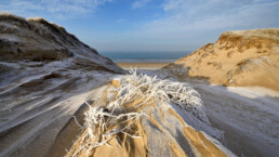 Ruige rijp op een pol met helmgras in een kerf in de duinen na een koude winterse nacht op het strand van Heemskerk.