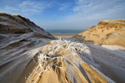 Ruige rijp op een pol met helmgras in een kerf in de duinen na een koude winterse nacht op het strand van Heemskerk.