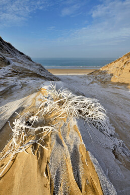 Ruige rijp op een pol met helmgras in een kerf in de duinen na een koude winterse nacht op het strand van Heemskerk.