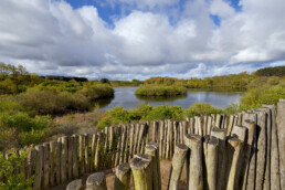 Zicht op het duinmeer 'Meertje van Burdet' vanaf het wisentenuitkijkpunt in het Nationaal Park Zuid-Kennemerland bij Overveen.