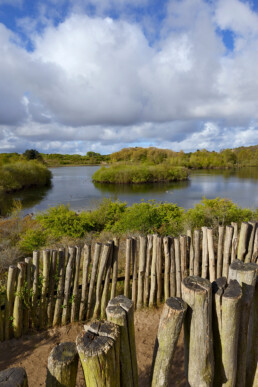 Zicht op het duinmeer 'Meertje van Burdet' vanaf het wisentenuitkijkpunt in het Nationaal Park Zuid-Kennemerland bij Overveen.