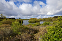 Zicht op het duinmeer 'Meertje van Burdet' vanaf het wisentenuitkijkpunt in het Nationaal Park Zuid-Kennemerland bij Overveen.