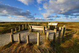 Warm licht van zonsopkomst schijnt op uitkijkpunt met bankje bovenop duinhelling in de duinen van het Zwanenwater bij Callantsoog