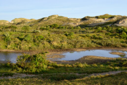 Uitzicht op de natte valleien in het buitenduin van het Noordhollands Duinreservaat bij Bergen aan Zee