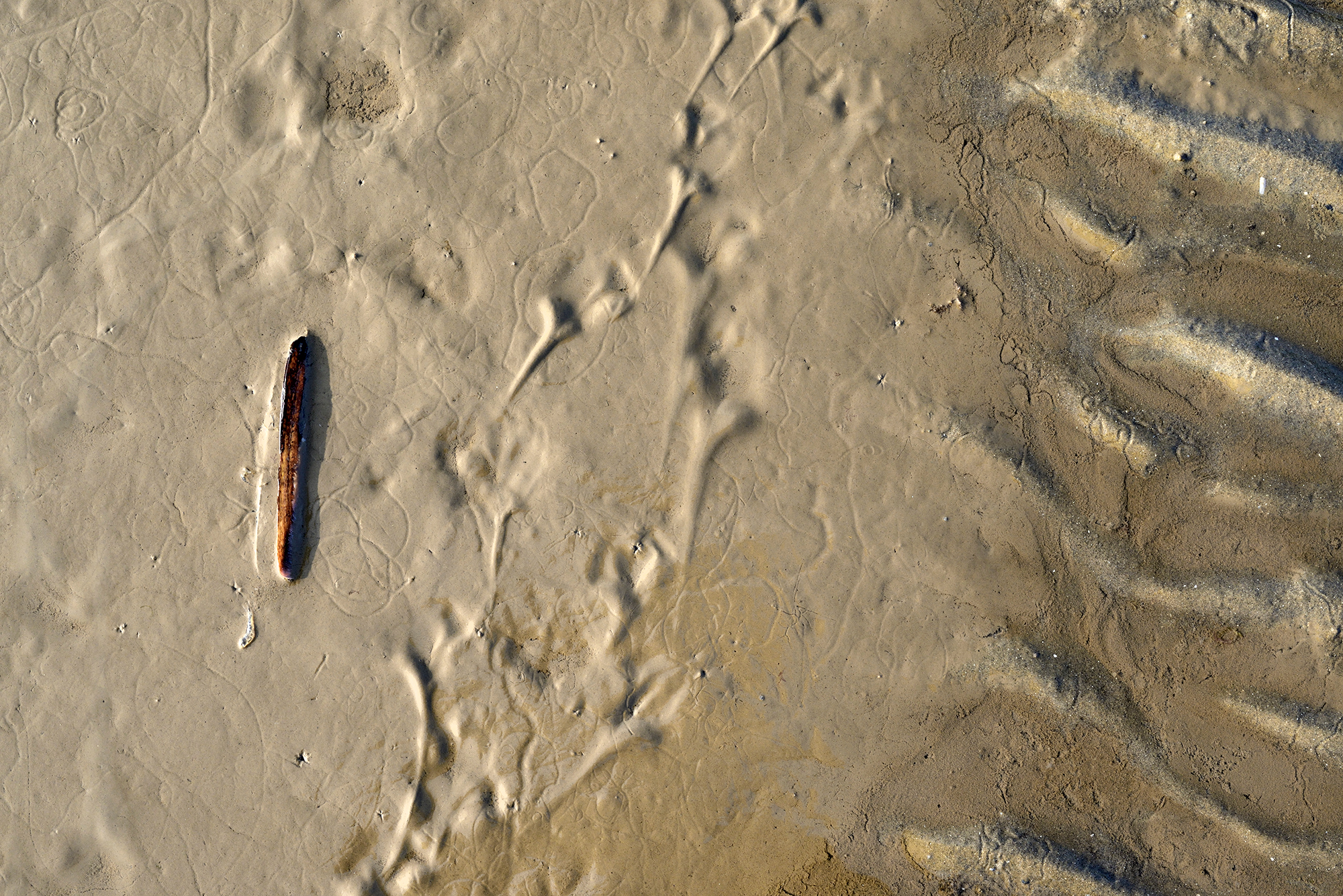 Lijnen en patronen in het zand en slik tijdens laagwater op het strand van de Kwade Hoek in de Duinen van Goeree.