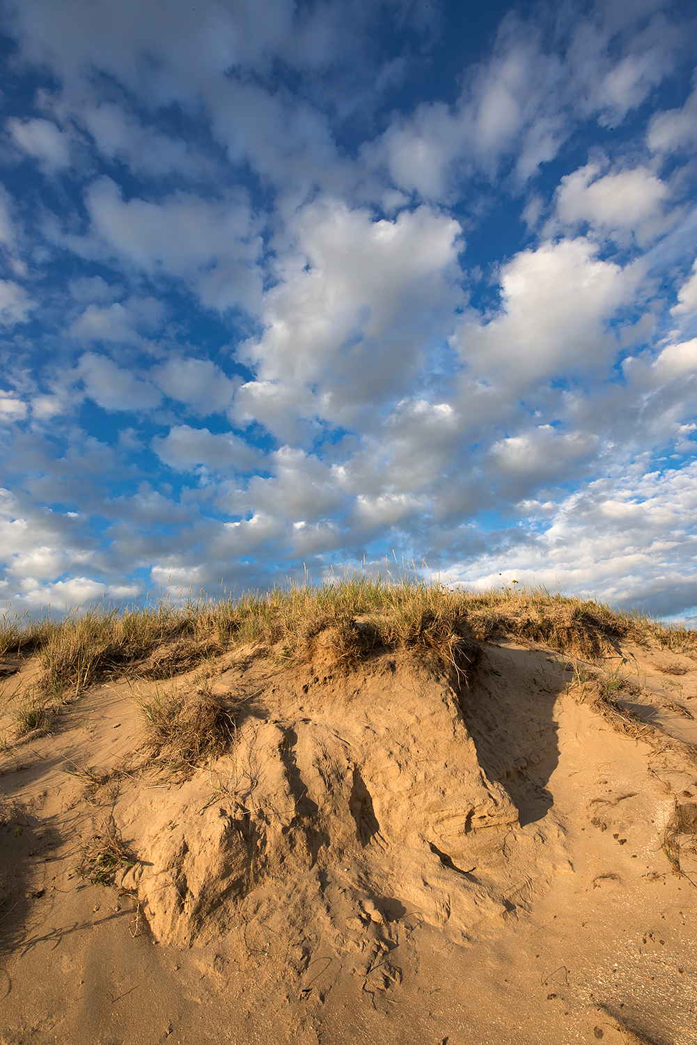 Schapenwolken boven zanderige duinhelling van stuifkuil in de duinen van het Noordhollands Duinreservaat bij Wijk aan Zee.