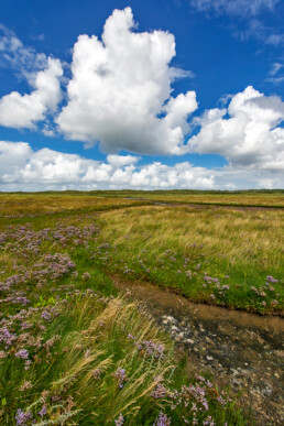 Droge kreek op de kwelder van het onbewoonde Waddeneiland Rottumeroog in de Nederlandse Waddenzee