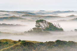 Uitzicht vanaf duintop over lagen mist tussen duinen tijdens zonsopkomst in het Noordhollands Duinreservaat bij Egmond aan Zee.