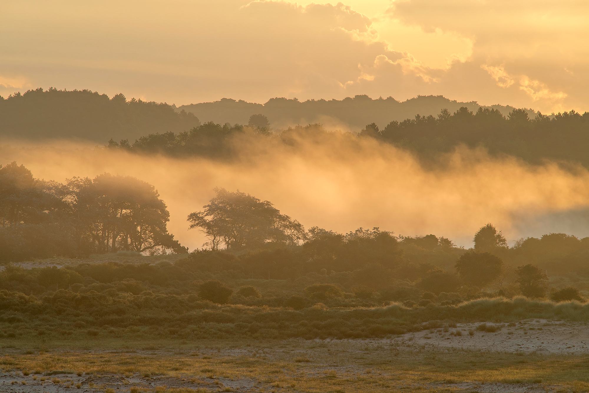 Lagen mist tijdens zonsopkomst in de duinen van het Nationaal Park Zuid-Kennemerland bij Bloemendaal aan Zee.
