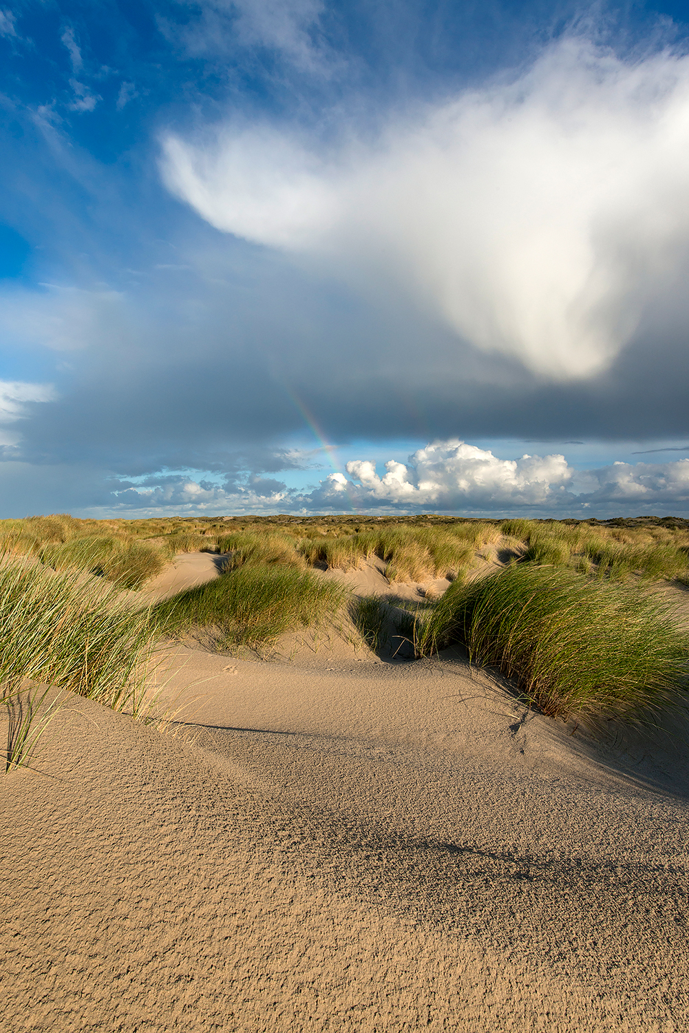 Grote wolk van regenbui boven wuivend helmgras in de zeeduinen van De Hors op het zuidpunt van Waddeneiland Texel