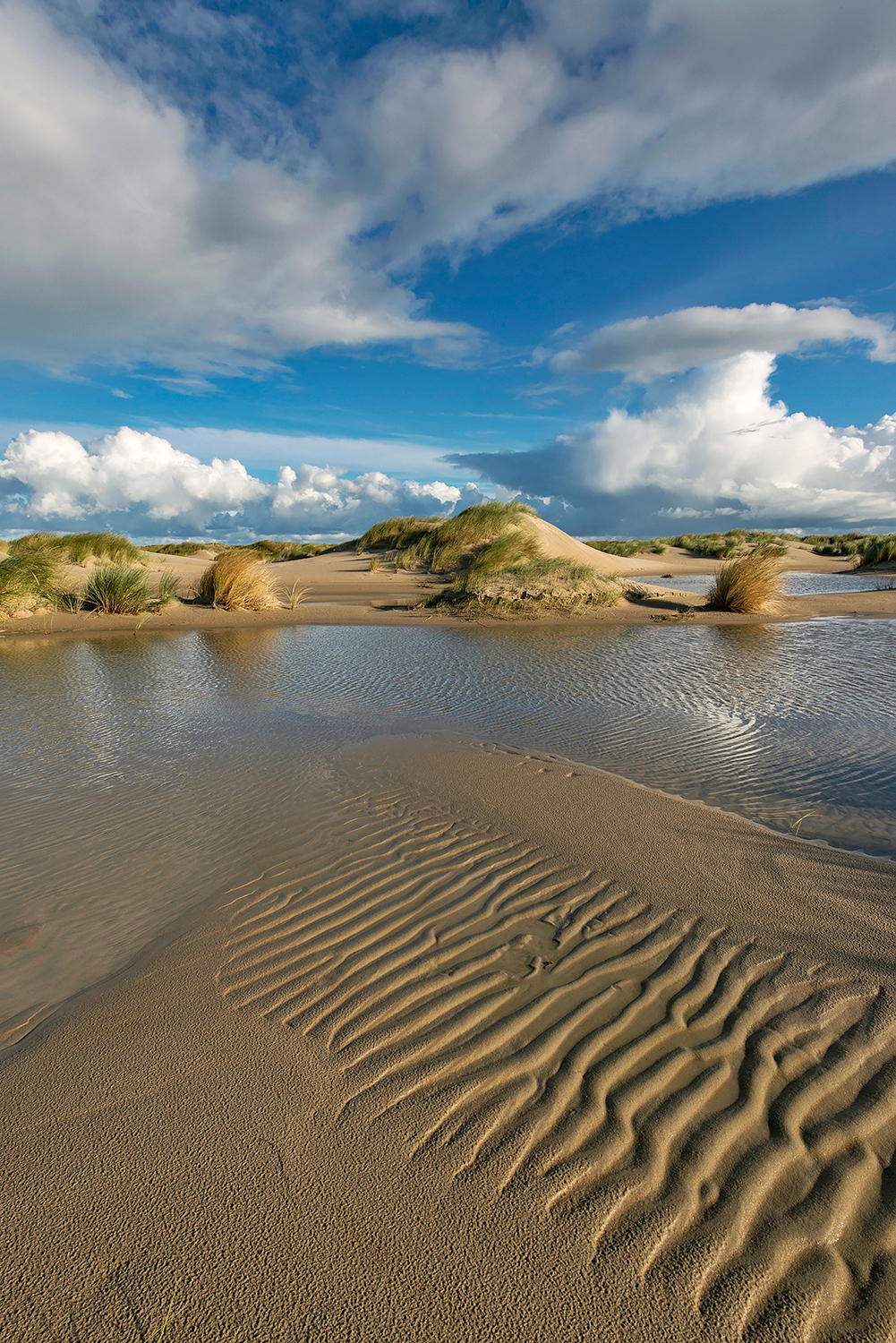 Water in natte vallei tussen de zeeduinen op de strandvlakte van De Hors op de zuidpunt van Waddeneiland Texel.