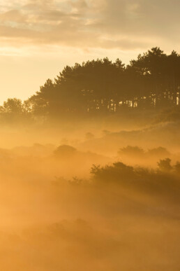 Het eerste zonlicht schijnt door lagen mist tijdens zonsopkomst in de duinen van het Nationaal Park Zuid-Kennemerland bij Bloemendaal aan Zee