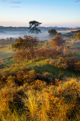 De duinen van het Kraansvlak tijdens zonsopkomst in het Nationaal Park Zuid-Kennemerland bij Bloemendaal aan Zee