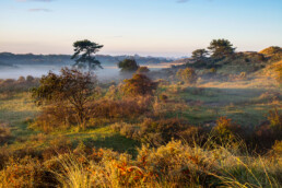 De duinen van het Kraansvlak tijdens zonsopkomst in het Nationaal Park Zuid-Kennemerland bij Bloemendaal aan Zee