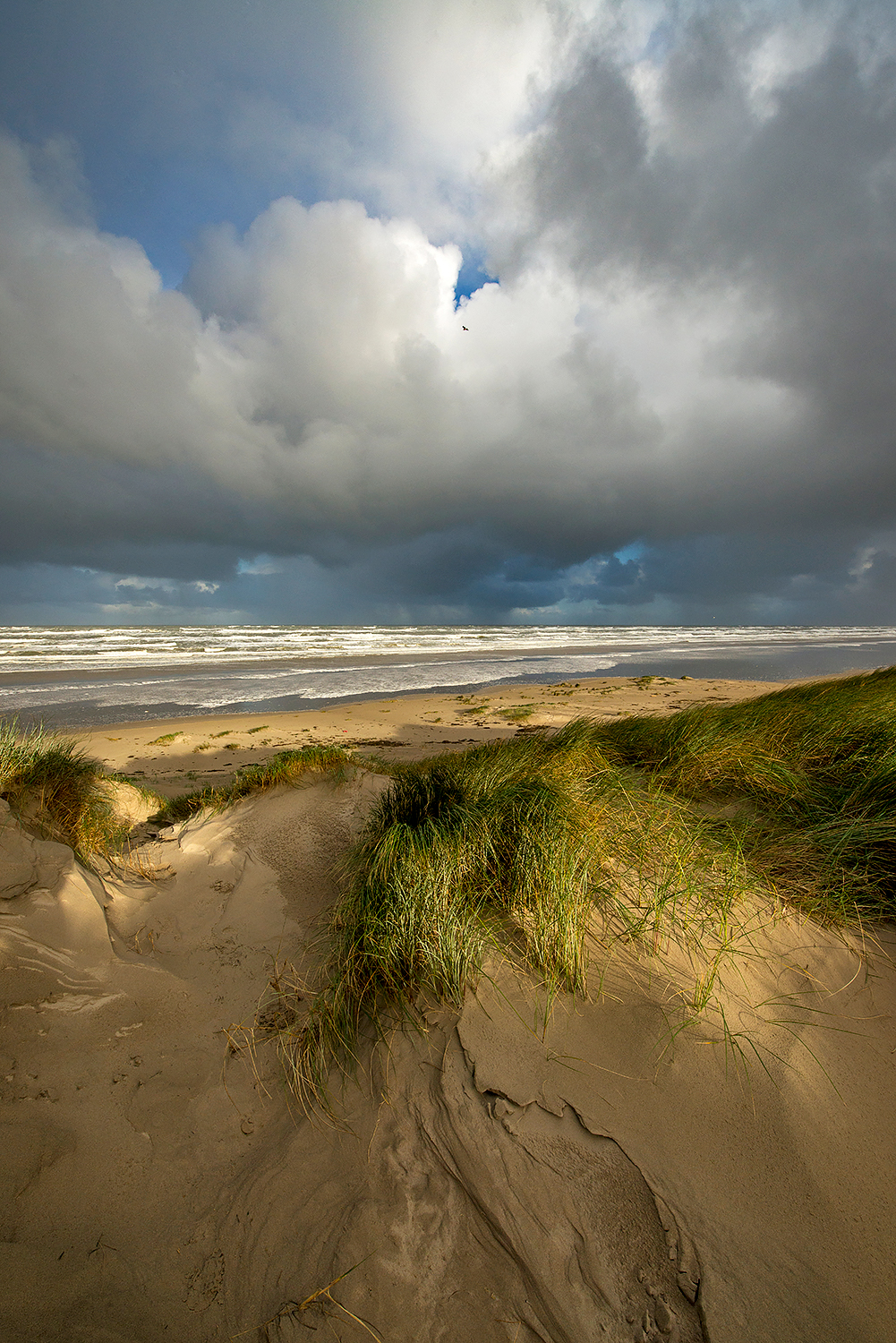 Harde wind en dreigende wolkenluchten boven zee tijds zonsopkomst op het strand van Wijk aan Zee