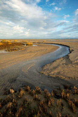 Kreek slingert over het strand van de Kwade Hoek in de Duinen van Goeree