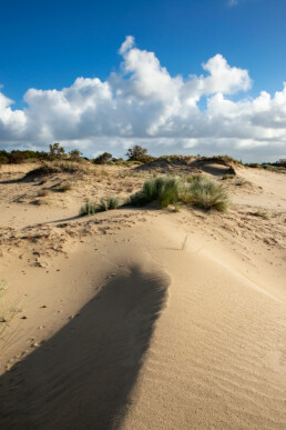 Blauwe lucht en wolken boven het gele duinzand van stuifduinen in het natuurgebied van Meijendel bij Wassenaar