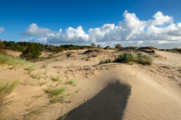 Blauwe lucht en wolken boven het gele duinzand van stuifduinen in het natuurgebied van Meijendel bij Wassenaar