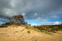 Wolken en regenboog boven een groepje bomen en het kale zand van stuifduinen in Meijendel bij Wassenaar