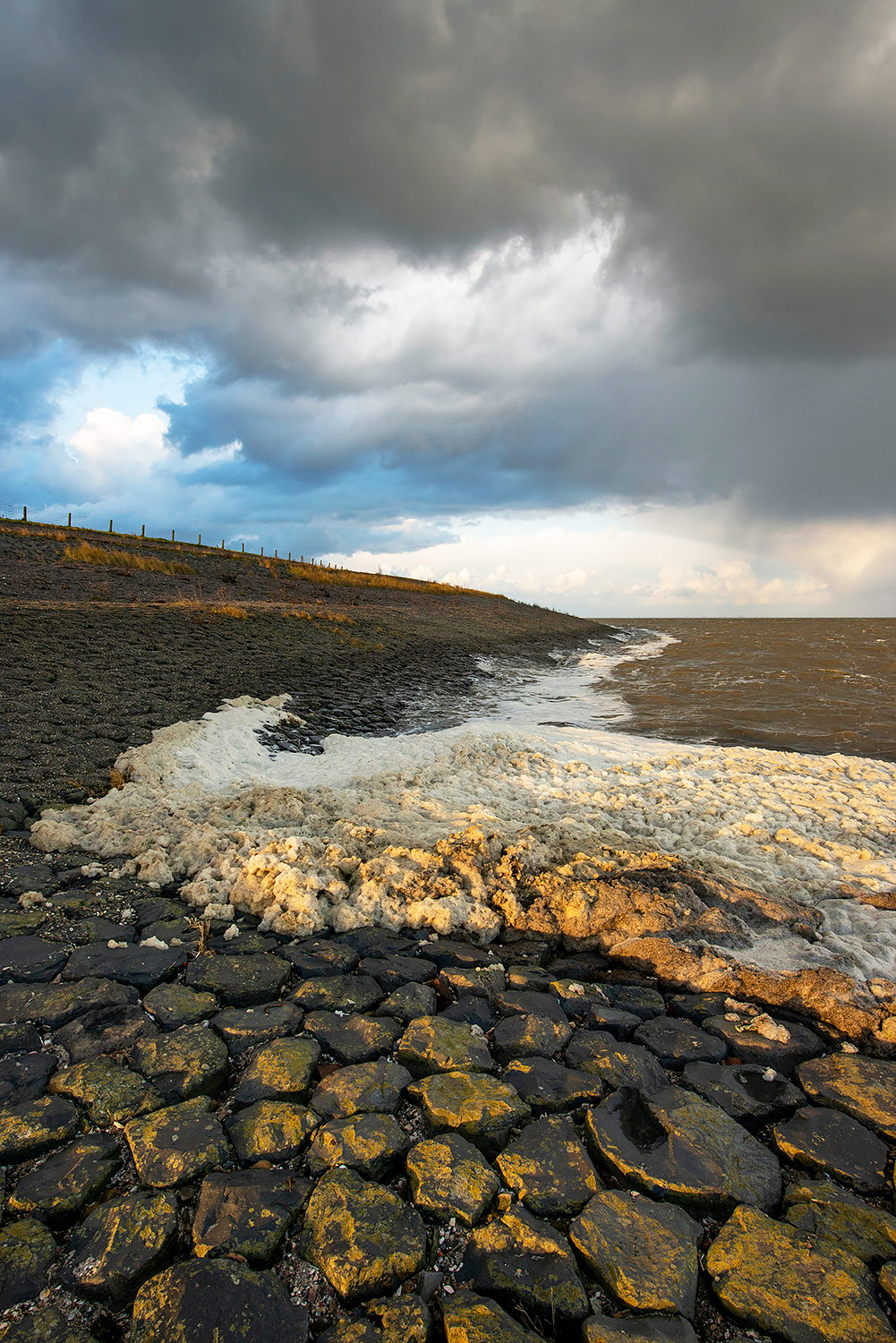 Donkere wolken boven aangespoeld schuimalg (Phaeocystis globosa) aan de voet van de Waddenzeedijk bij Vatrop, op het voormalige Waddeneiland Wieringen.