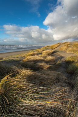 Uitzicht op het strand en de Noordzee vanuit de duinen op het strand van Wijk aan Zee