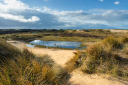 Uitzicht over duinen en natte duinvallei aan de voet van een paraboolduin in het Noordhollands Duinreservaat bij Heemskerk;