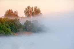 Mist boven het water van een infiltratiekanaal tijdens zonsopkomst in de Amsterdamse Waterleidingduinen bij Vogelenzang