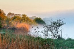 Mist boven het water van een infiltratiekanaal tijdens zonsopkomst in de Amsterdamse Waterleidingduinen bij Vogelenzang