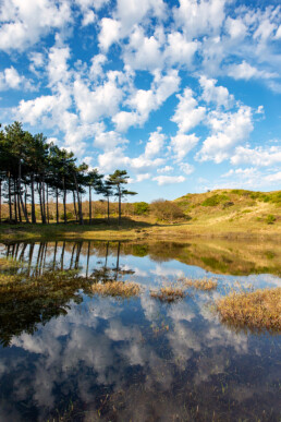 Weerspiegeling van wolken (Altocumulus Floccus) in het water van een duinmeertje in het Noordhollands Duinreservaat bij Egmond-Binnen