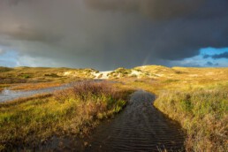 Donkere wolken en regenboog boven de duinen en natte vallei van De Kerf in de Schoorlse Duinen