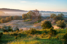 Lagen mist tijdens zonsopkomst in het Nationaal Park Zuid-Kennemerland bij Santpoort-Zuid