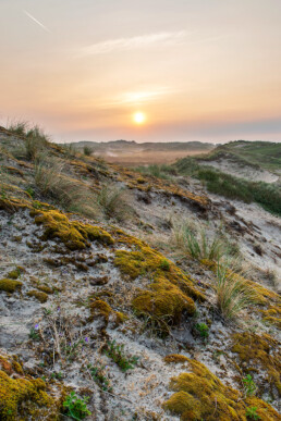 Zonsopkomst in mistig landschap in het Noordhollands Duinreservaat bij Egmond aan Zee