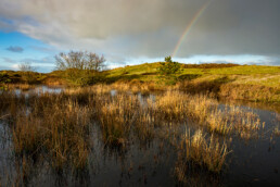 Dreigende wolkenlucht en regenboog boven een natte duinvallei in de Tjalkhoek in de Schoorlse Duinen