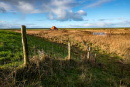 Zicht op rietmoeras en boerderij vanaf dijk aan de andere zijde van de Abtskolk