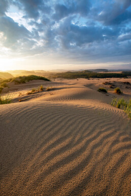 Zandribbels op stuifduin worden opgelicht door het warme licht van een zonsopkomst in het Nationaal park Zuid-Kennemerland.