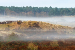 Laagjes mist tussen de duinhellingen tijdens zonsopkomst in het Noordhollands Duinreservaat bij Egmond-Binnen