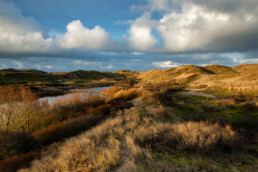 Uitzicht over de duinen bij Egmond aan Zee, tijdens zonsopkomst in de winter