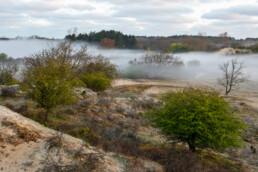 Mistige zonsopkomst in het duinlandschap van de Amsterdamse Waterleidingduinen bij Overveen