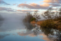 Mistige zonsopkomst aan de oever van een infiltratiekanaal in de Amsterdamse Waterleidingduinen bij Overveen