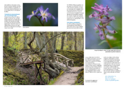 Natuurfoto's van Landgoed Elswout in Tijdschrift Duin. Door natuurfotograaf Ronald van Wijk.